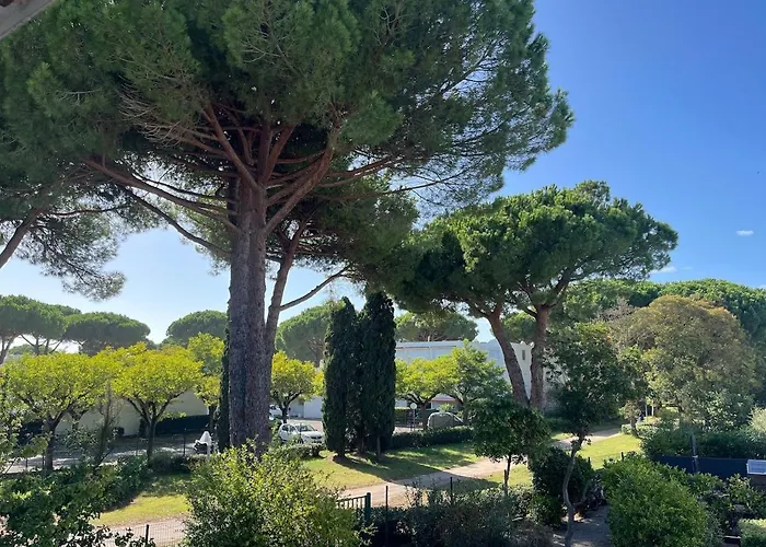 Apartamento - Motte - Fully Equipped *